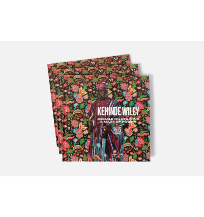 Kehinde Wiley - Dédale du pouvoir : A Maze of Power