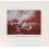 Will Cotton - Paintings 1999 - 2004