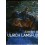 Ulrich Lamsfuss - Exhibit B