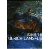 Ulrich Lamsfuss - Exhibit B